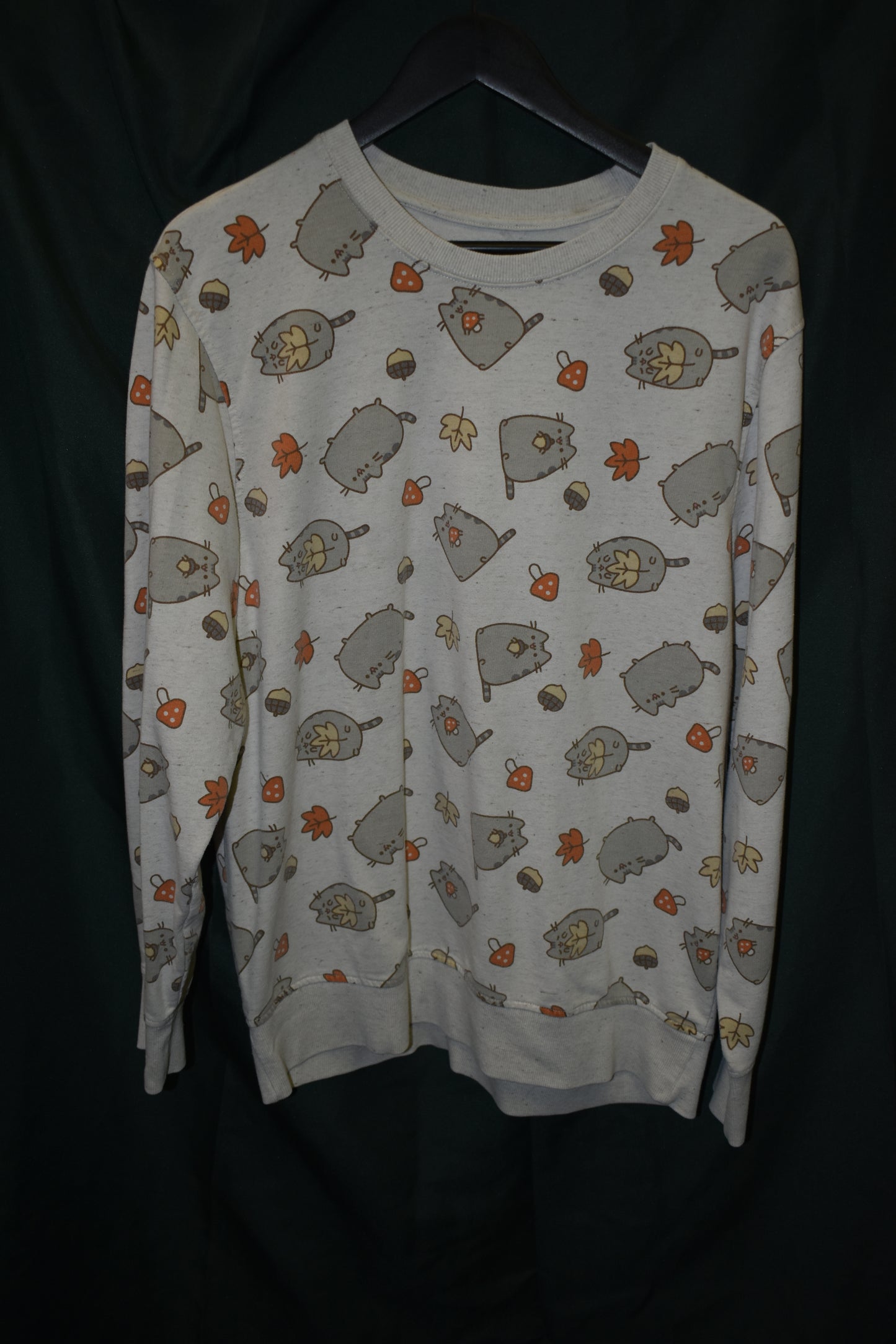 PREOWNED CARTOON SWEATER LARGE PUSHEEN FALL SEASON