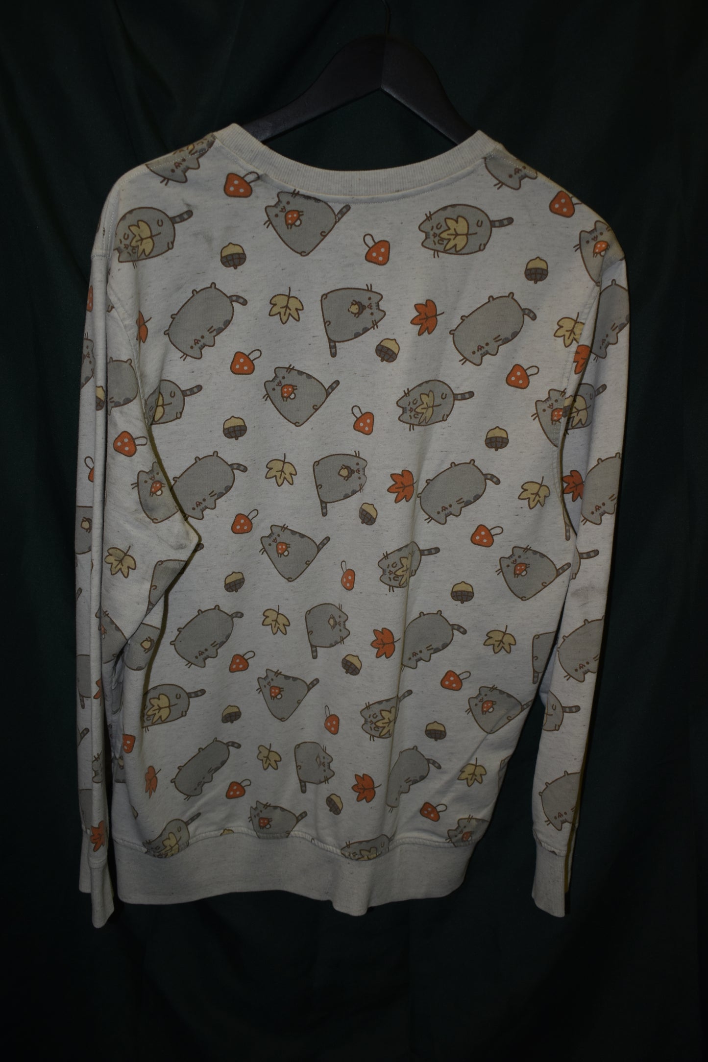 PREOWNED CARTOON SWEATER LARGE PUSHEEN FALL SEASON