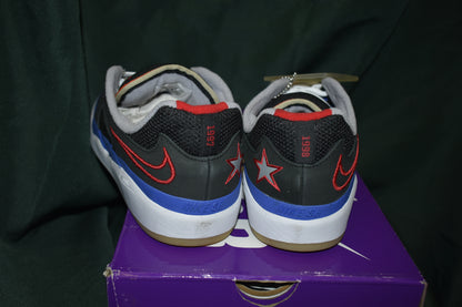 SHOES NIKE SB SIZE 9.5 ISHOD PRM