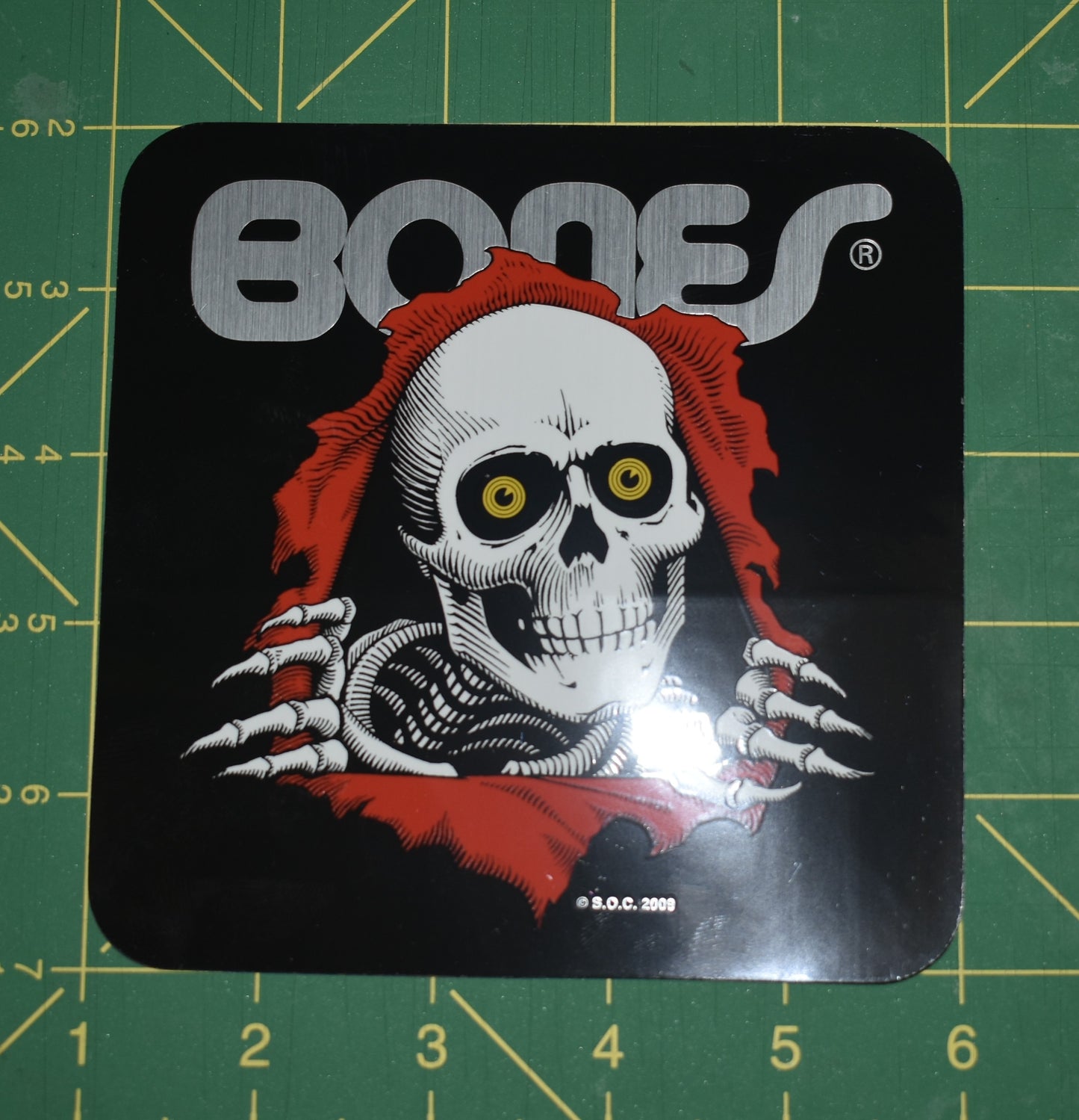 STICKER POWELL 5" RIPPER BUMPER BONES