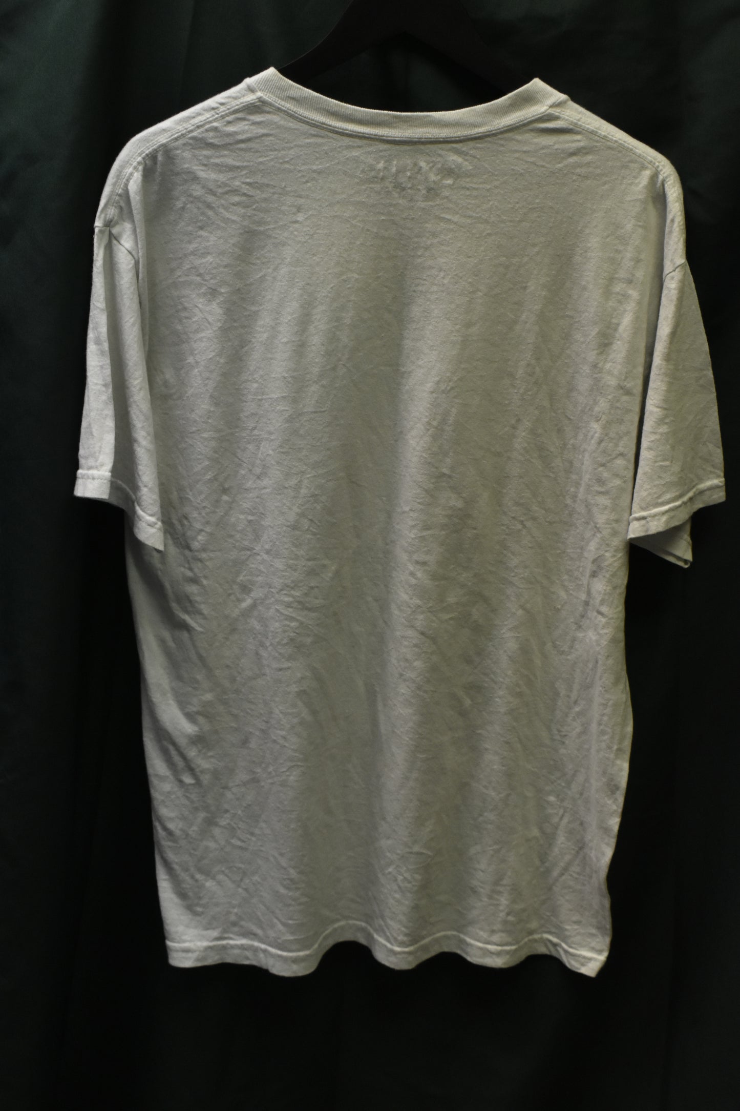 PREOWNED ANIME SHIRT LARGE ERASED AKIRA